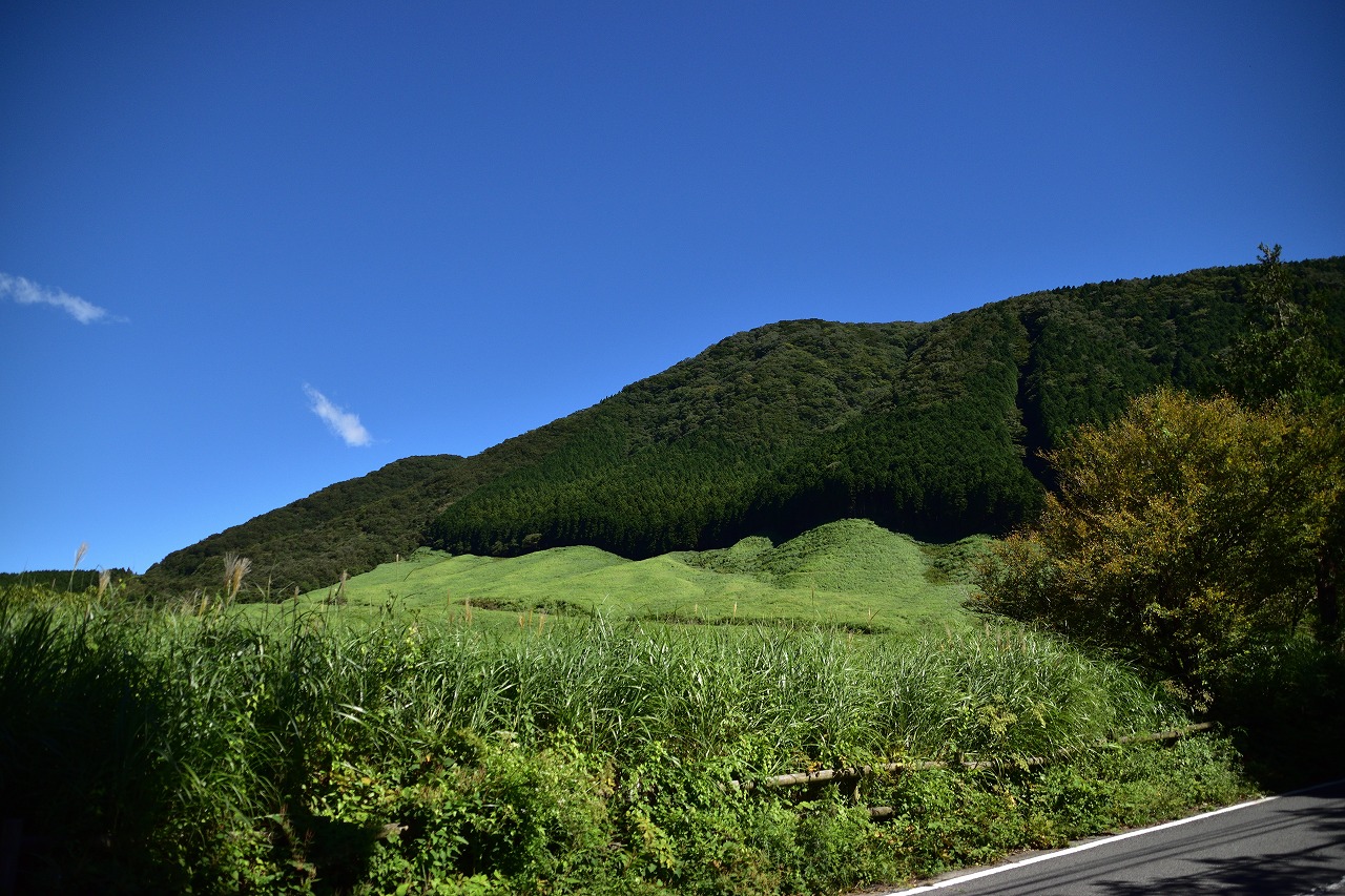 02tozan3 (4).jpg